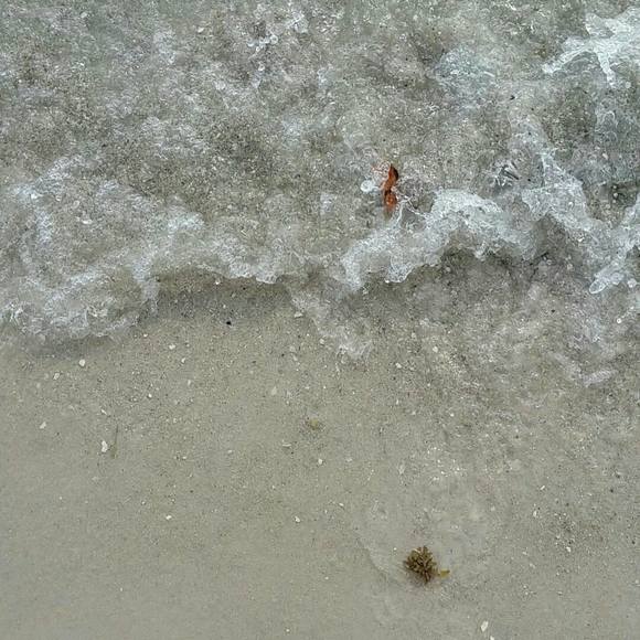 Meet your Posher, Kelsea - Picture 1 of 1